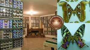 Entomological Museum